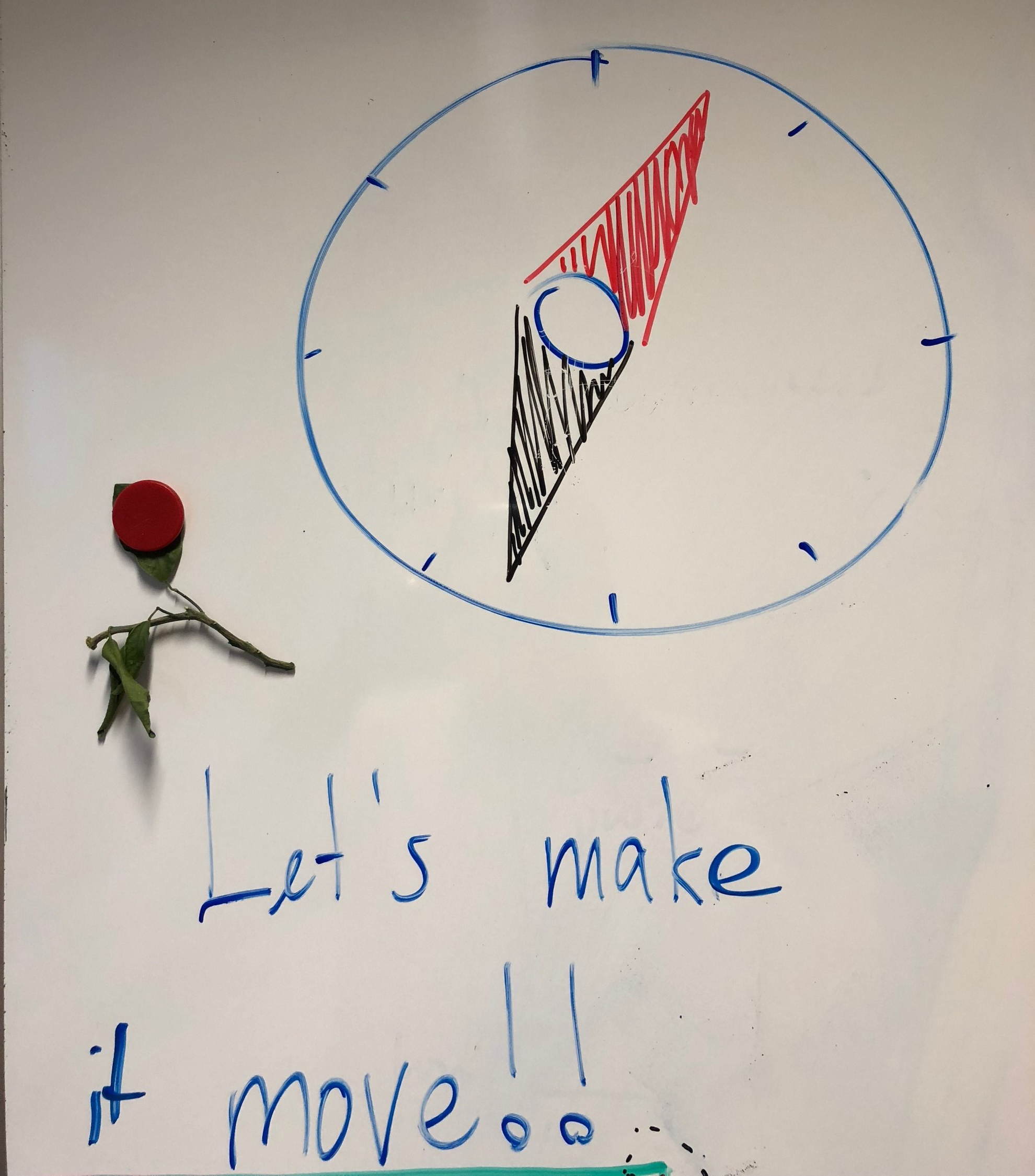 Bloomio2
