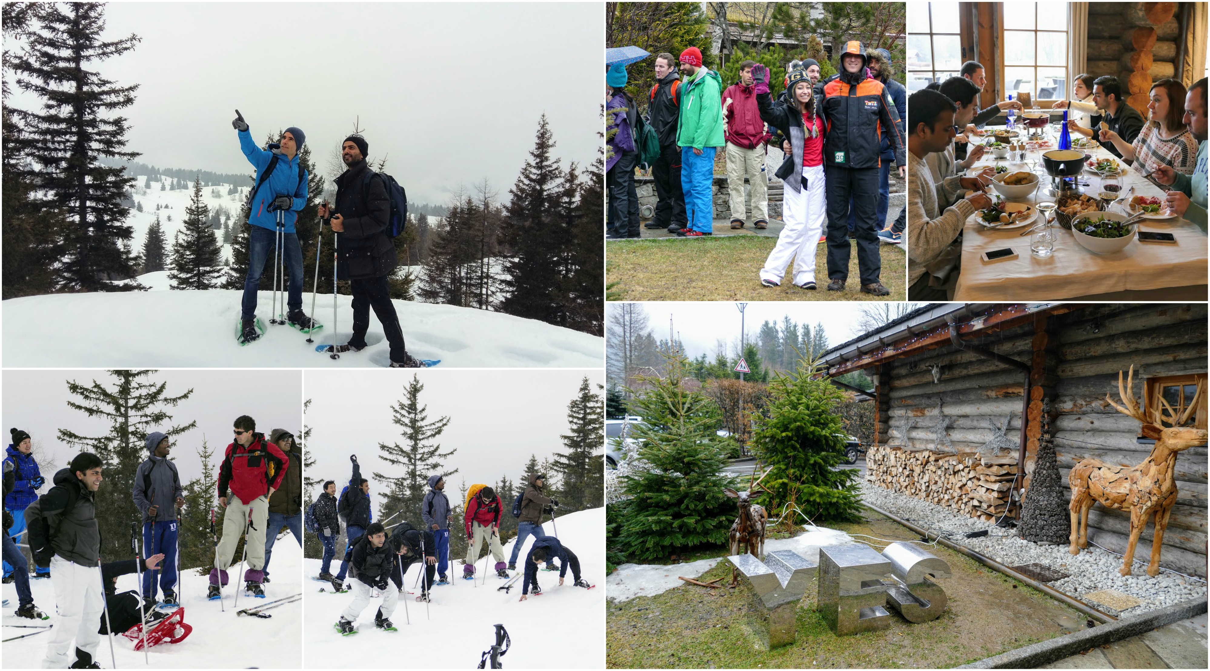 Chamonix Collage.jpg