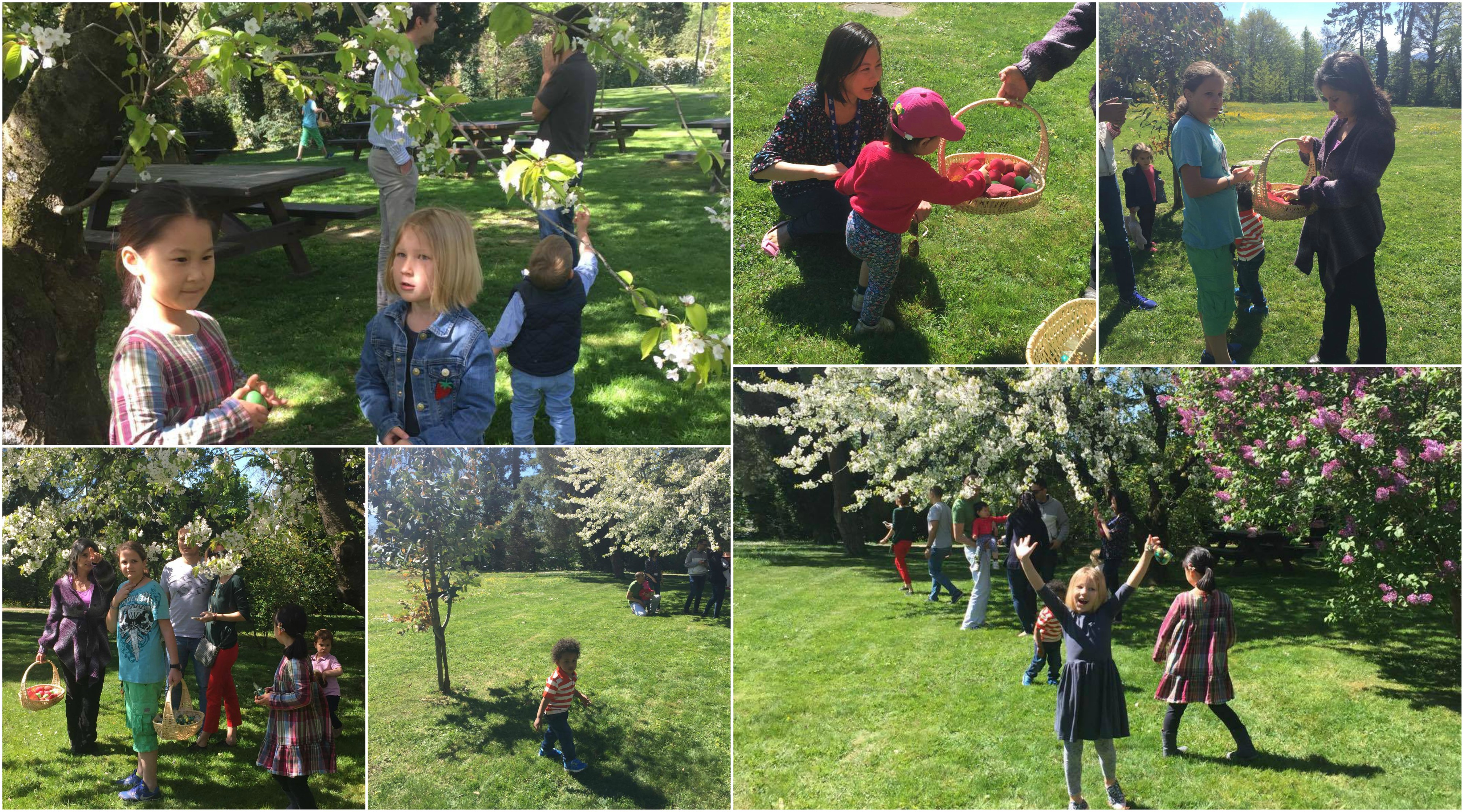 EasterEggHunt Collage