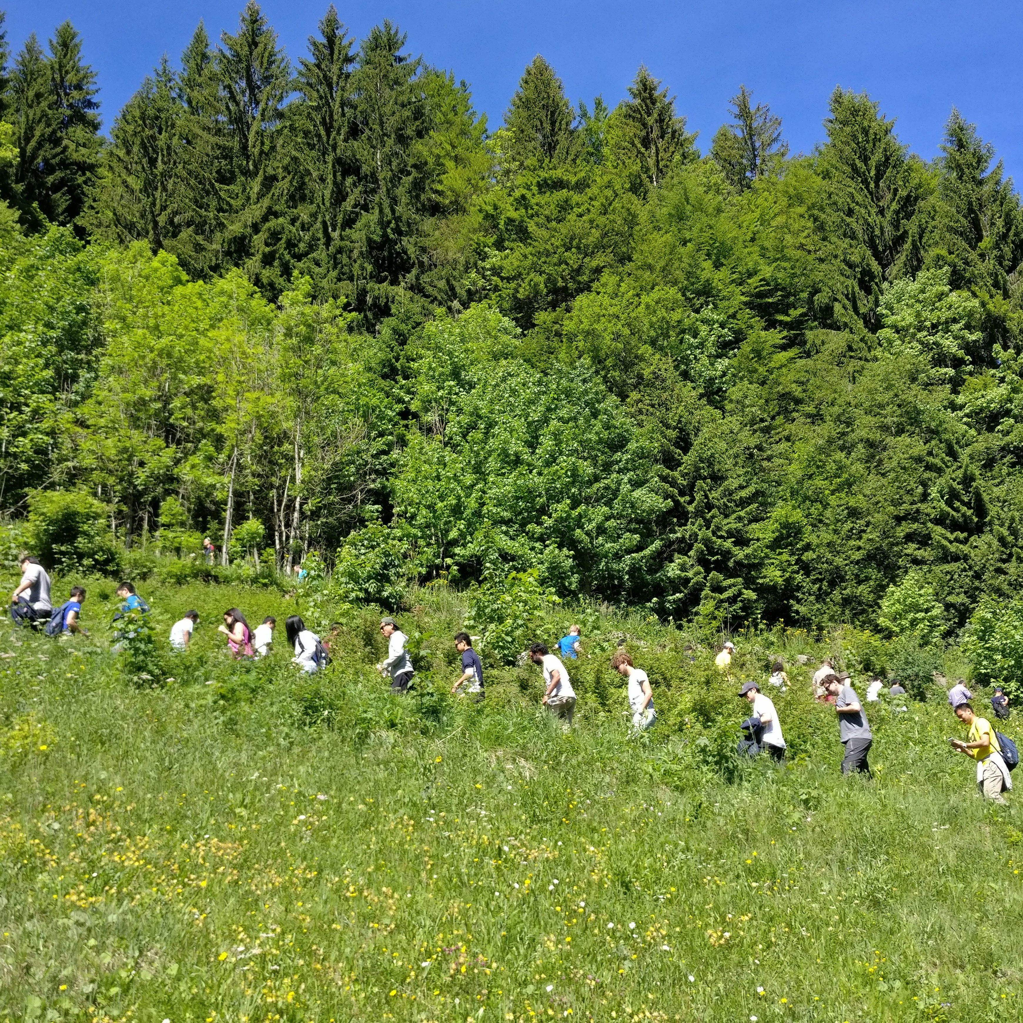 IMG_20170610_102926_062.jpg