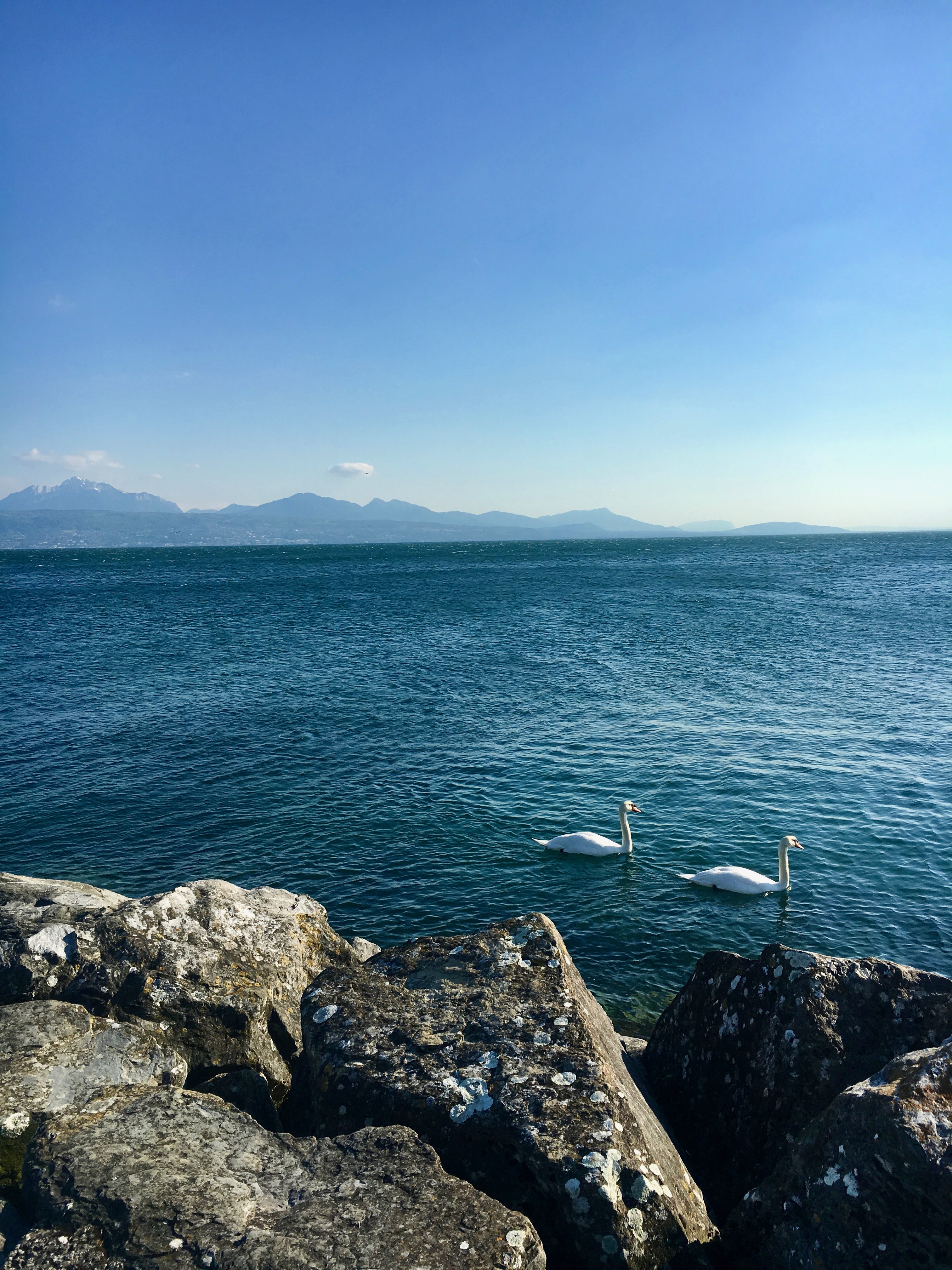 IMG_9654.jpeg