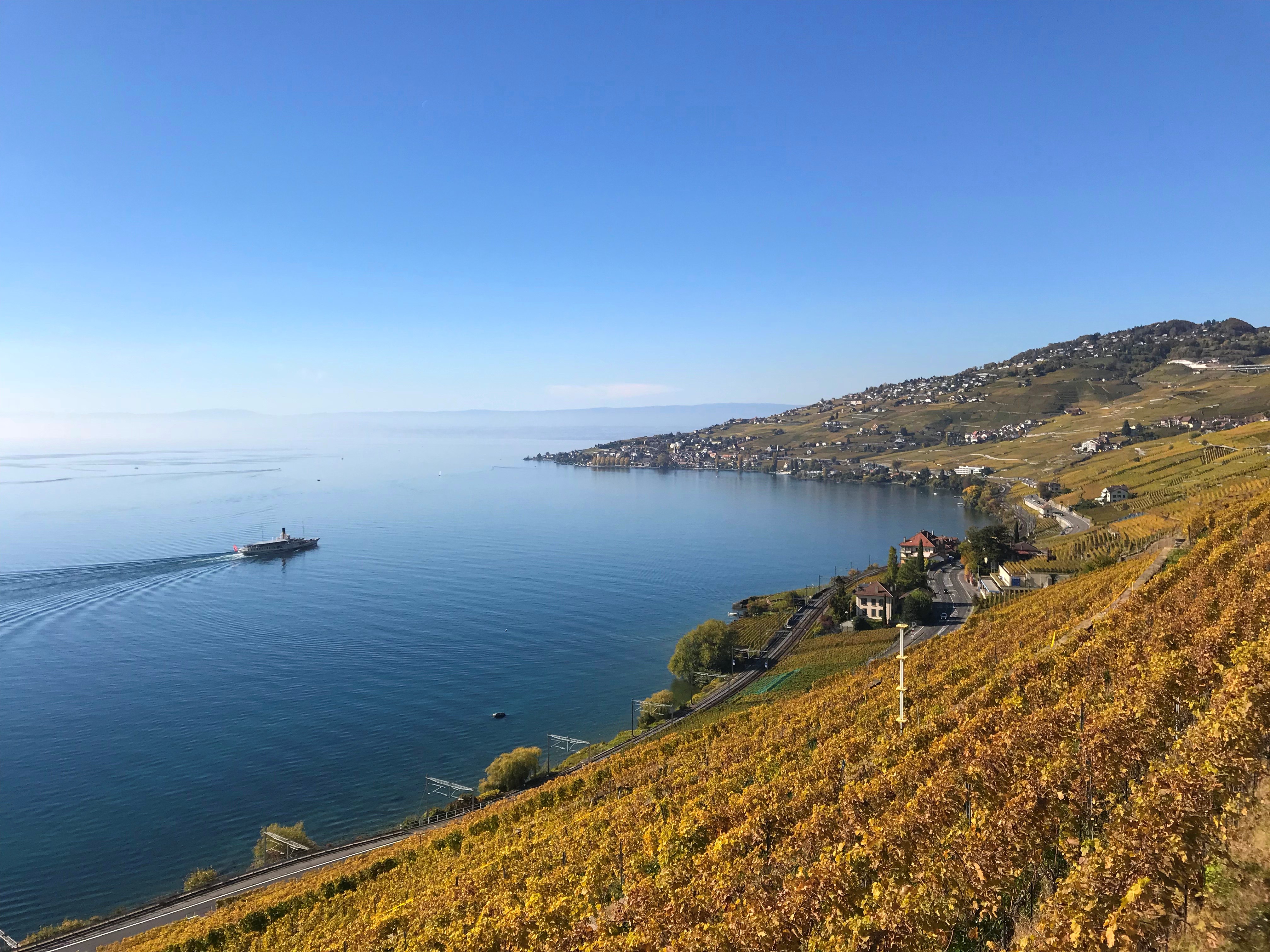 Matthias_landscape