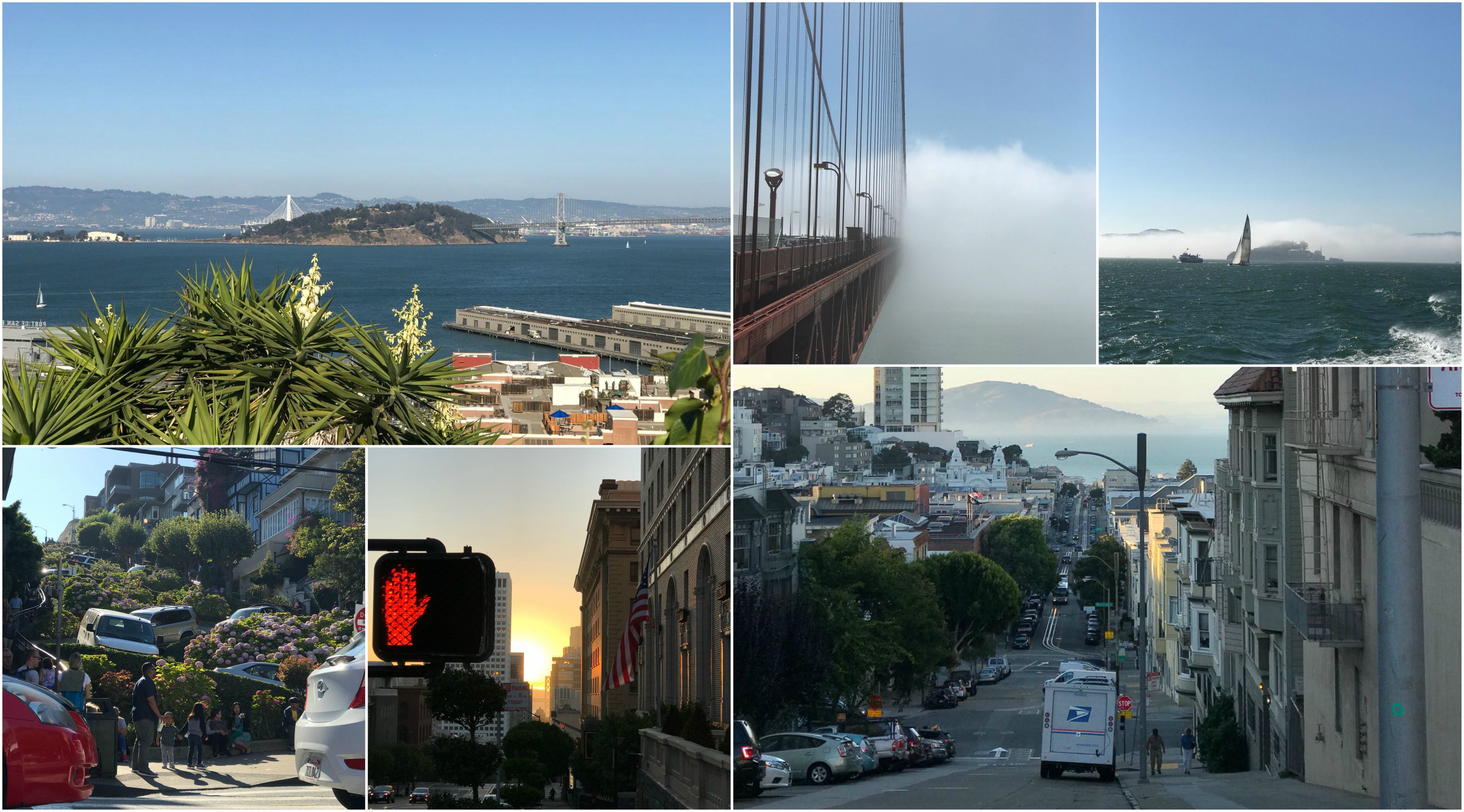 SF1 Collage
