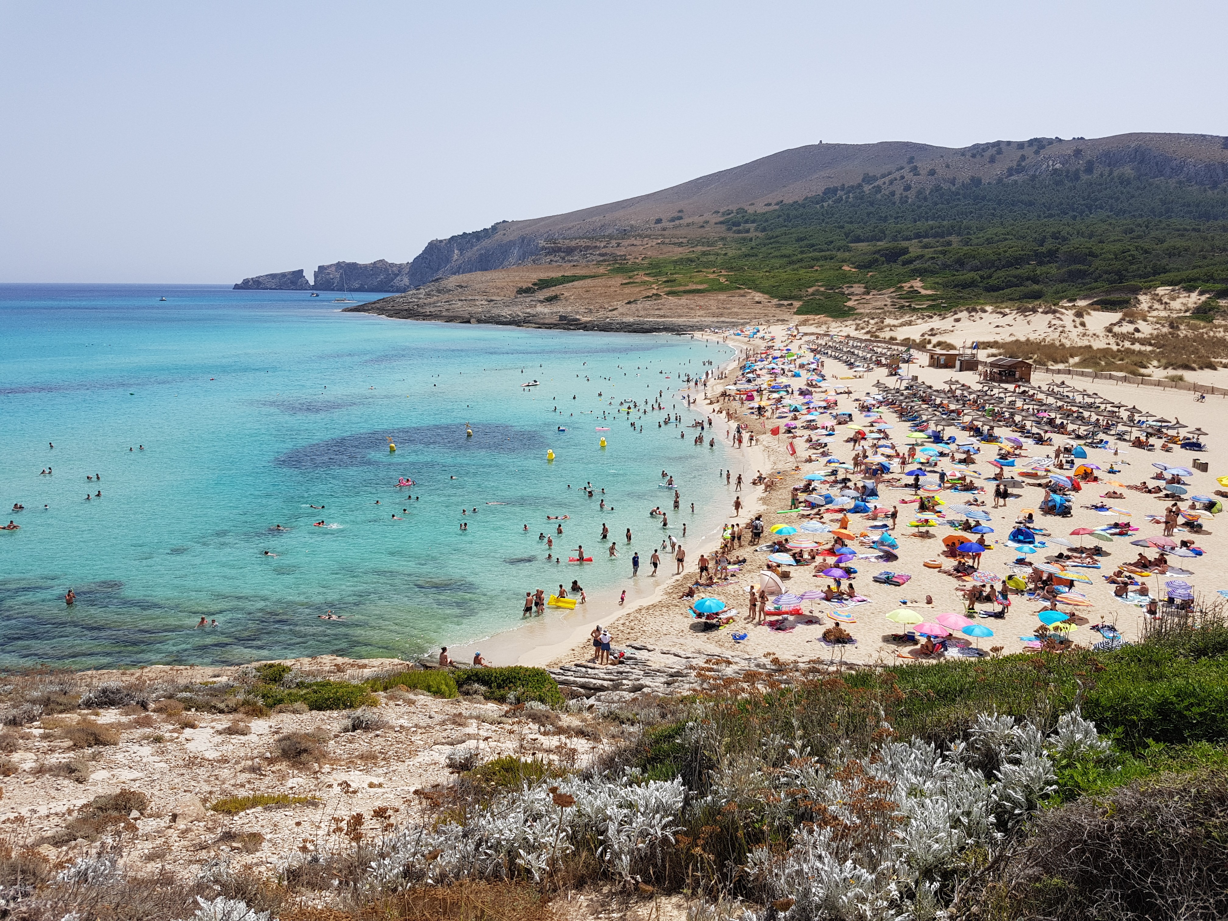 Vero